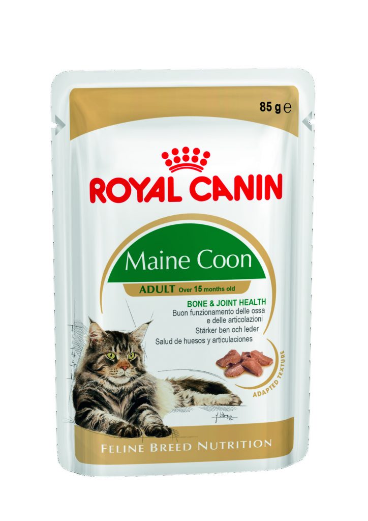 Maine Coon Wet ROYAL CANIN®