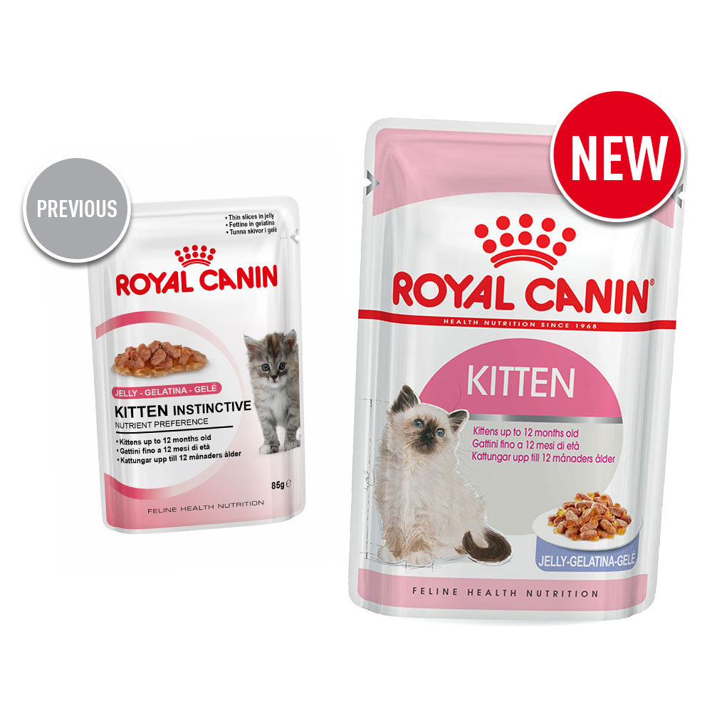 Is It Ok To Give Kitten Cat Food Is It Ok To Give Kitten Cat Food