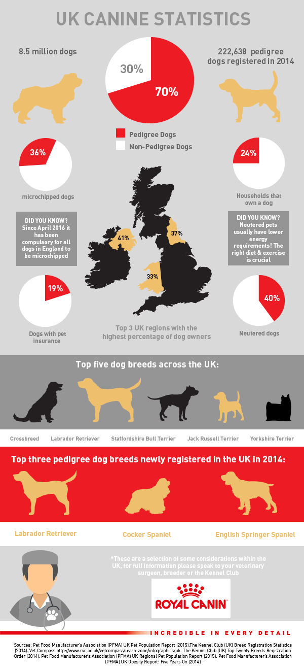 Mixed Breed Infographic ROYAL CANIN®