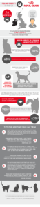 cat obesity infographic