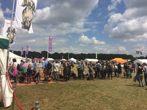 DogFest Queues