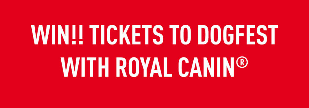 WIN Tickets to DogFest with ROYAL CANIN