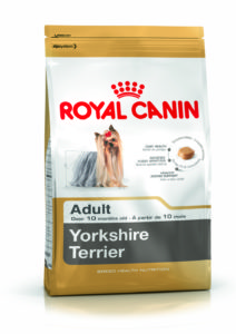 BHN Yorkshire Terrier Adult Packshot