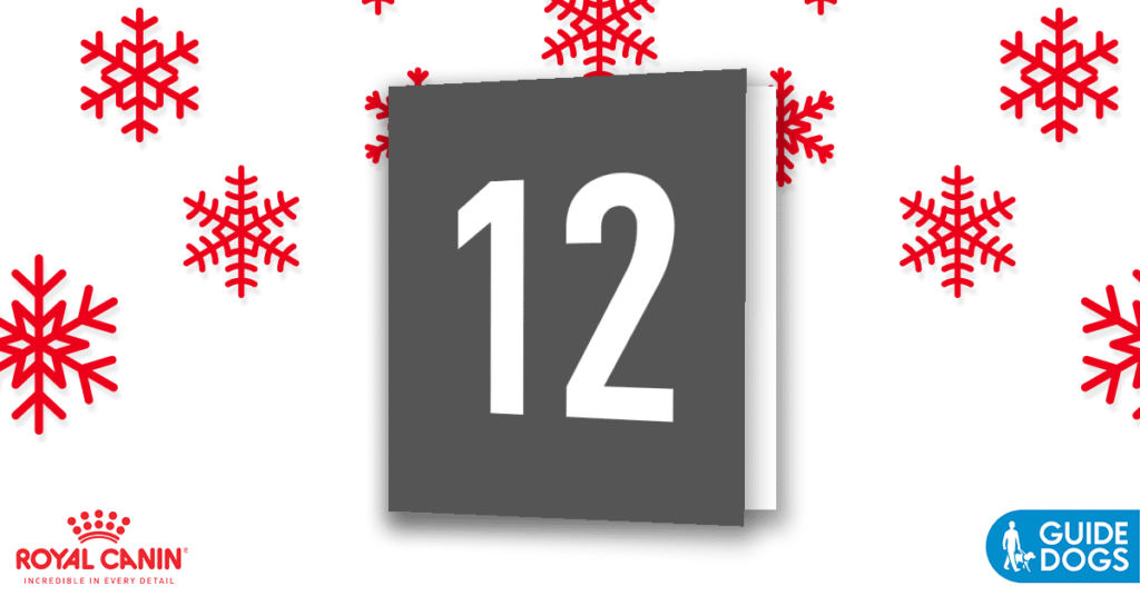 12 Days of Christmas Giveaway ROYAL CANIN®