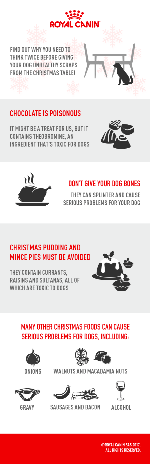 ROYAL-CANIN-Scraps-From-Table-Infographic