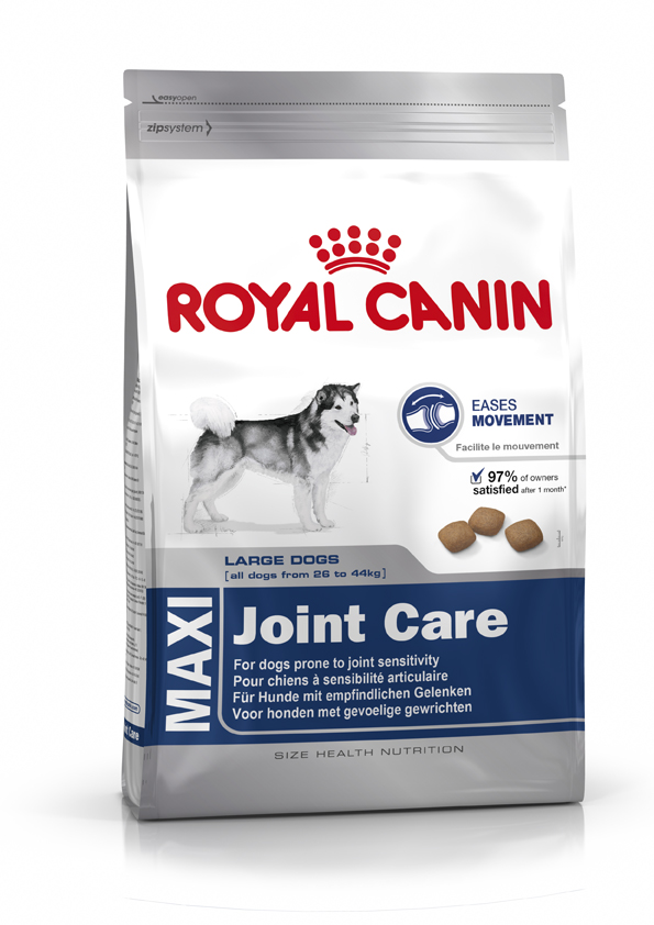 Where Can I Find Exclusive Dog Food Where Can I Find Exclusive Dog Food